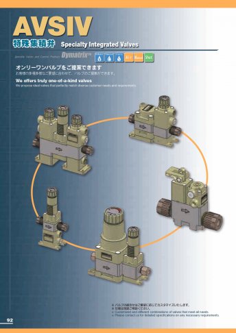 AVSIV 客製組合閥